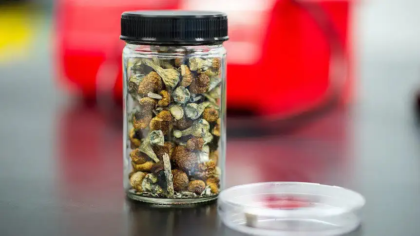 A jar of psilocybin mushrooms