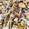 cambodian-magic-mushrooms-2