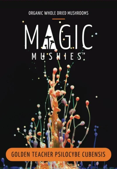 G Teacher Front - Magic Mushies