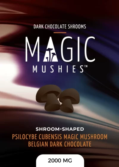 Belgium Dark Chocolate Shrooms