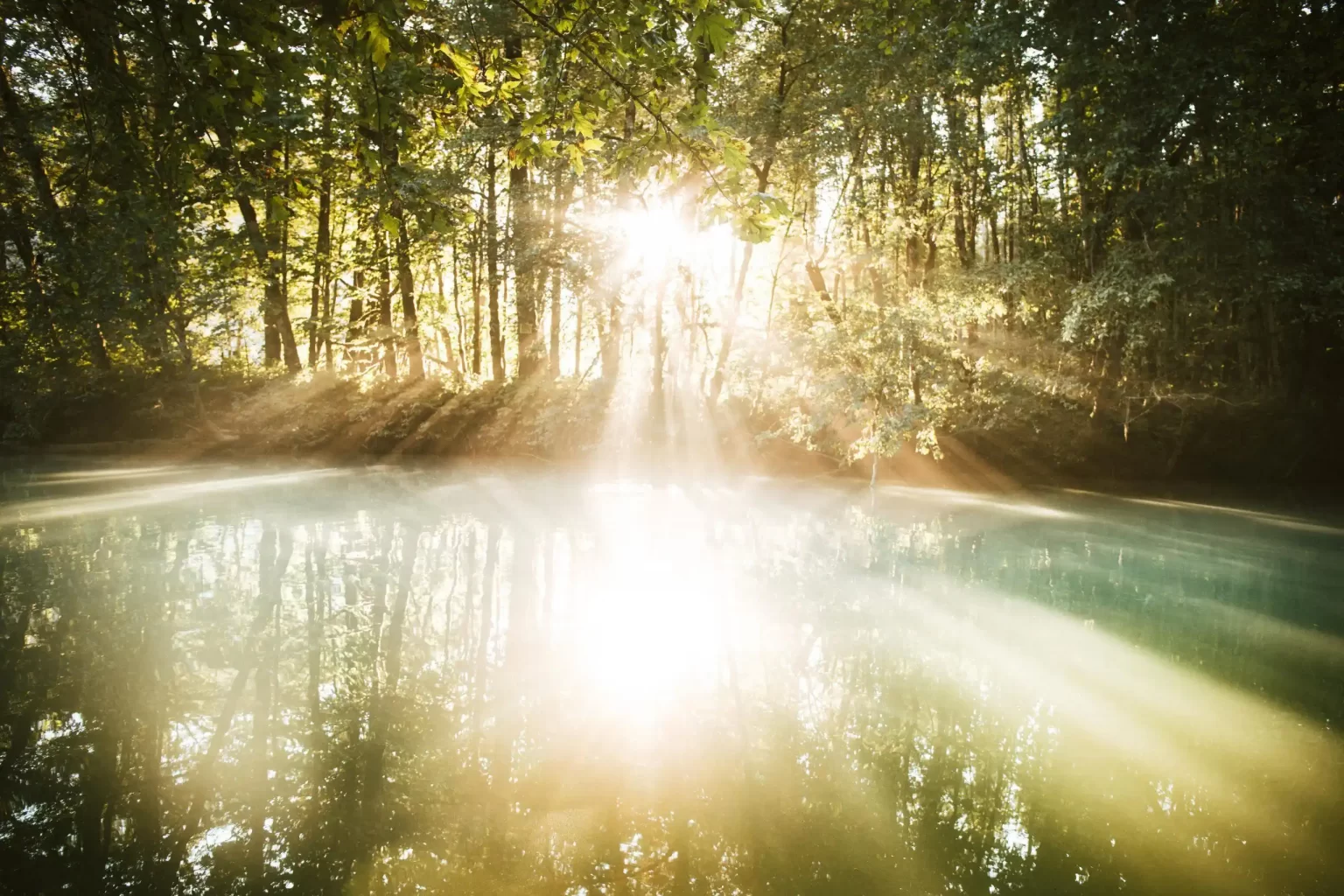 Still lake with sunlight shining through trees