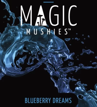 Blueberry dreams microdose magic mushrooms