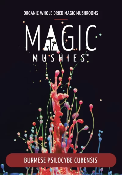 Burmese magic mushrooms