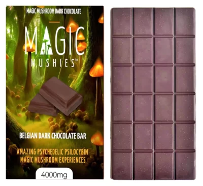 Magic Mushroom Belgian Dark Chocolate Bar Front with Bar
