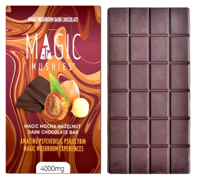 Magic Mushroom Magic Mocha Dark Chocolate Bar Box Front with Bar