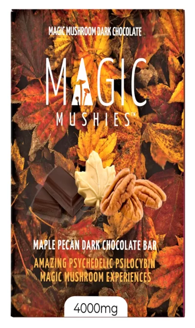 Magic mushroom maple pecan dark chocolate bar box front