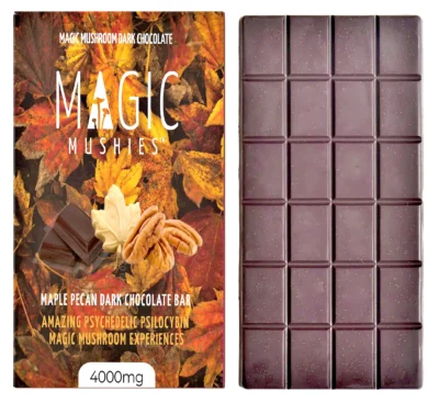 Magic Mushroom Maple Pecan Dark Chocolate Bar Box Front with Bar