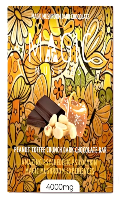 Magic Mushroom Peanut Toffee Crunch Dark Chocolate Bar Box Front