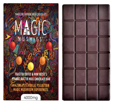 Magic Mushroom Toasted Toffee Mini Reese Milk Chocolate Bar Box Front with Bar