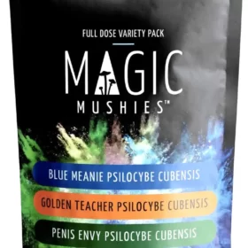 Magic Mushroom Variety Pack 100mg - Magic Mushies