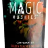 Magic Mushrooms Tea Saigon Chai
