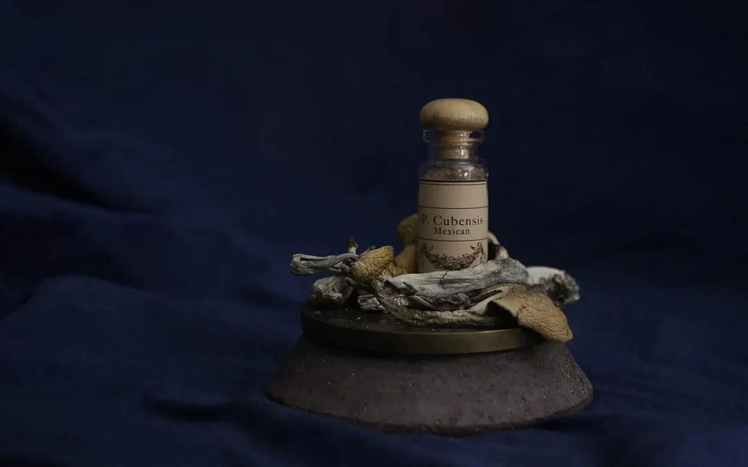 Dried magic mushrooms with a small bottle labeled "Mexican Cubensis"