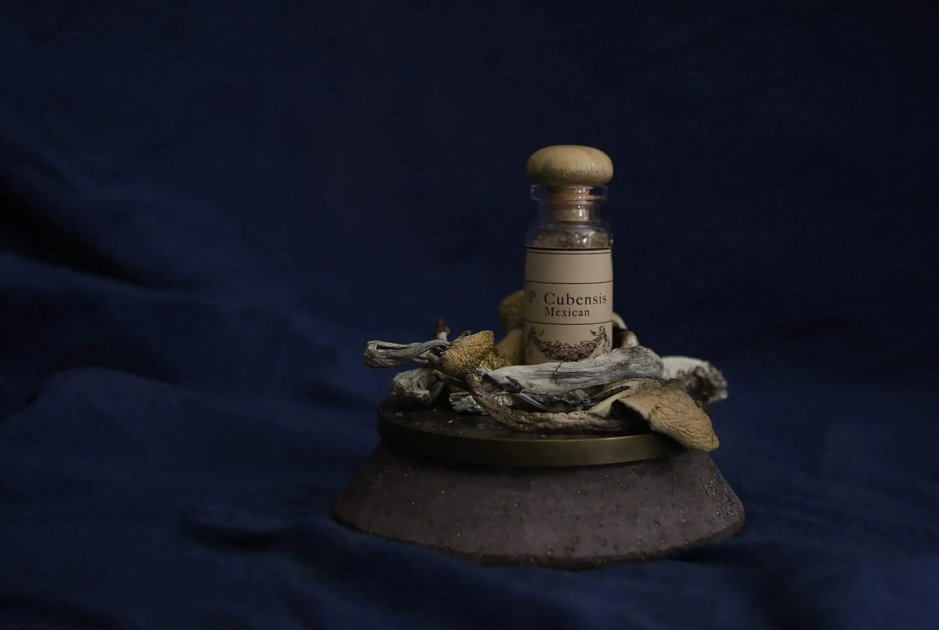 Dried magic mushrooms with a small bottle labeled "Mexican Cubensis"