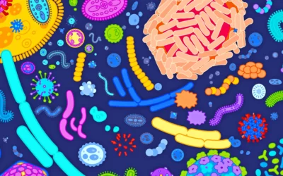 The Microbiome and Psychedelics: It’s Not All in Your Head