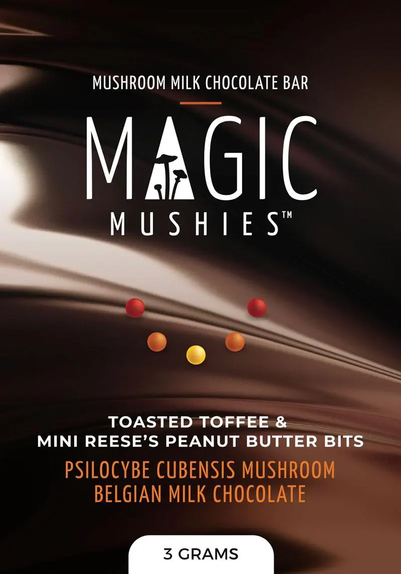 Magic Mushroom Chocolate Bar