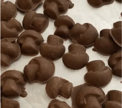 Belgian Milk Chocolate Magic Mushrooms Chocolates