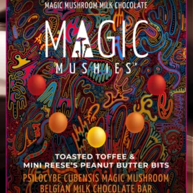Magic Mushroom Toasted Toffee Peanut Butter Chocolate Bar