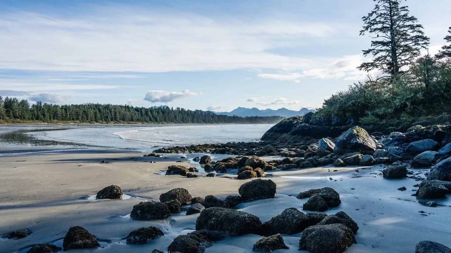 Tofino shroom trip