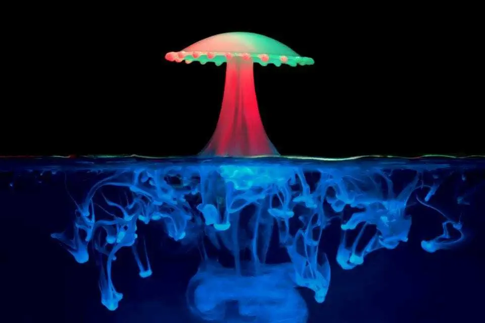 Magic Mushrooms As Medicine? Johns Hopkins Scientists Launch Center For Psychedelic Research. Say Psychedelics Could Treat Alzheimer’s, Depression And Addiction