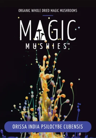 screenshot bugherd attachments.s3.amazonaws.com 2021.06.11 13 00 55 - Magic Mushies