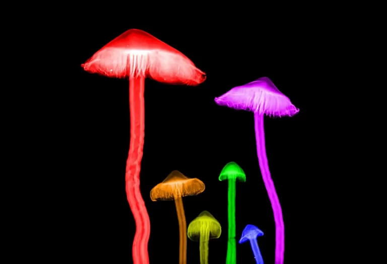 Brightly coloured mushrooms