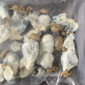 Magic Mushroom Party Pack 4oz (Staff Favorites) photo review