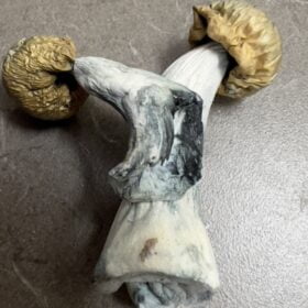 Magic Mushroom Party Pack 4oz (Staff Favorites) photo review