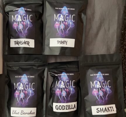 Magic Mushroom Party Pack 4oz (Staff Favorites)