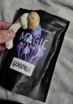 Magic Mushroom Party Pack 4oz (Staff Favorites)