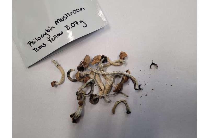 New technique measures psilocybin potency of mushrooms